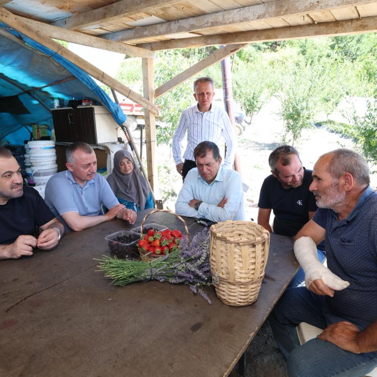 BAŞKAN BÜYÜKAKIN ÇİLEK HASADINA KATILDI