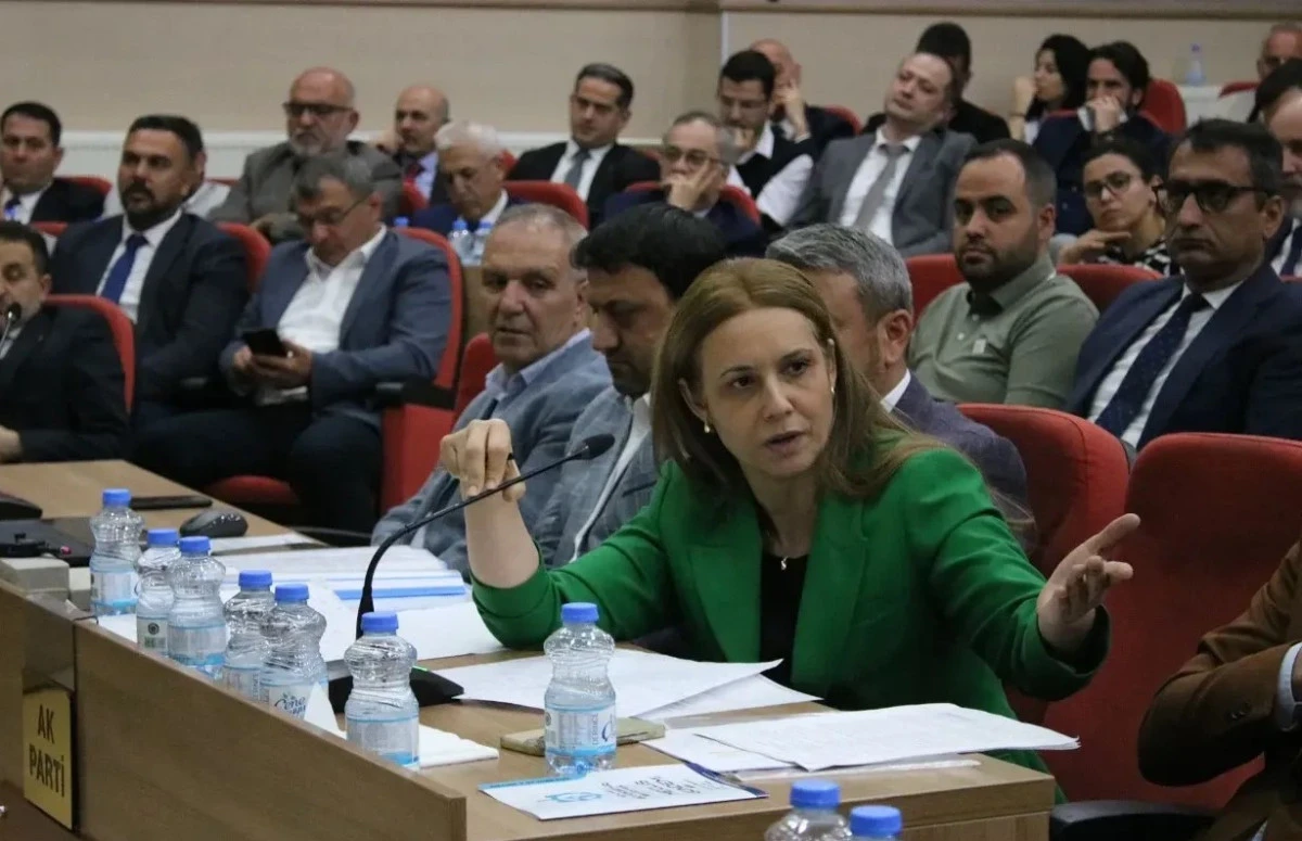 BAŞKAN VEKİLİ ABİŞ'TEN HÜRRİYET'E SERT YANIT