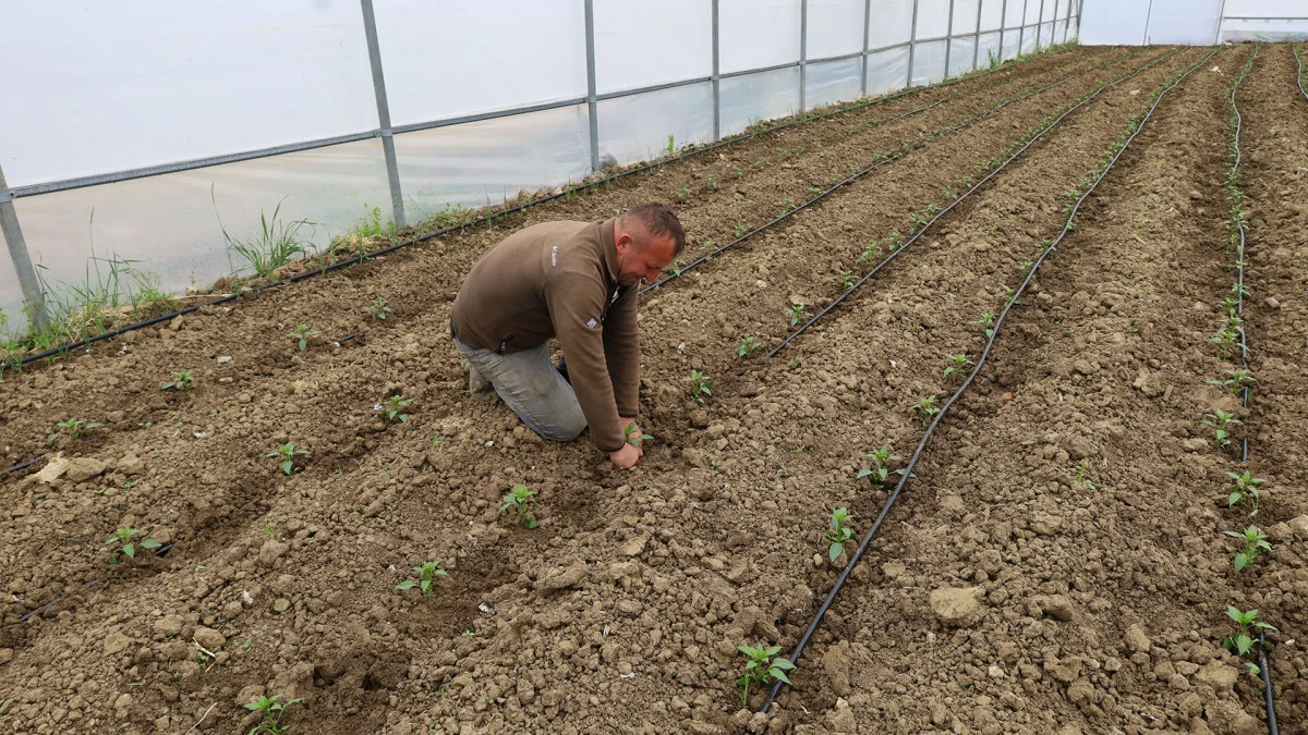 KOCAELİ’NDE TARIM BÜYÜYOR, SERACILIK GELİŞİYOR